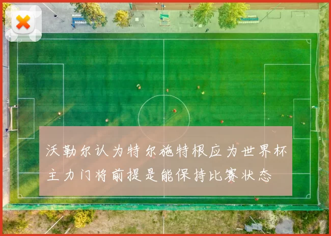 沃勒尔认为特尔施特根应为世界杯主力门将前提是能保持比赛状态