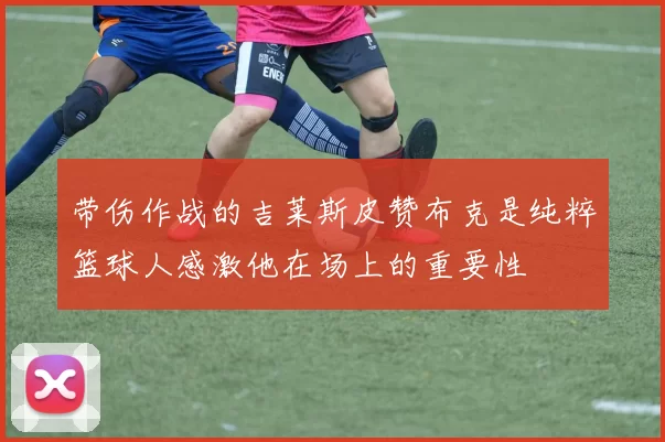 带伤作战的吉莱斯皮赞布克是纯粹篮球人感激他在场上的重要性