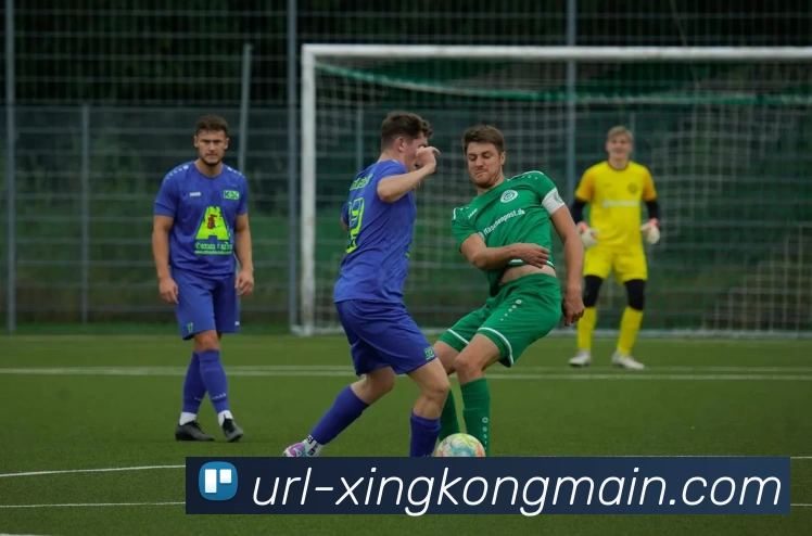 星空体育APP 封面图